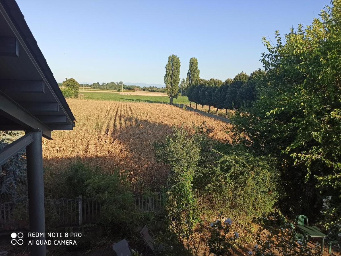 Bilocale Immerso Nel Verde Oviglio Buitenkant foto