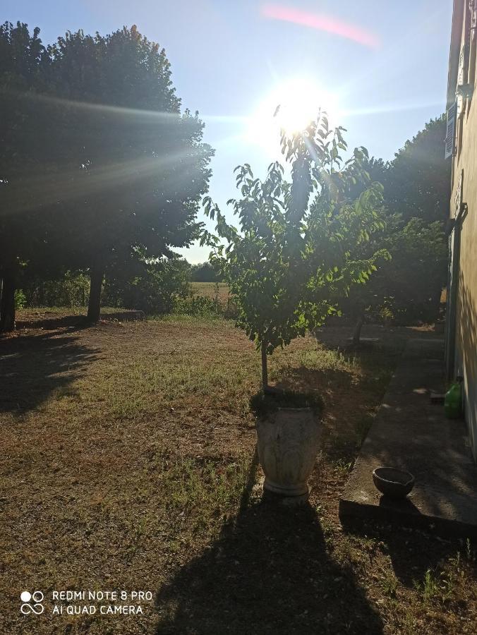 Bilocale Immerso Nel Verde Oviglio Buitenkant foto